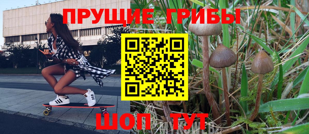 Алапаевск  Галлюциногенные грибы Psilocybe  Вход с VPN 
