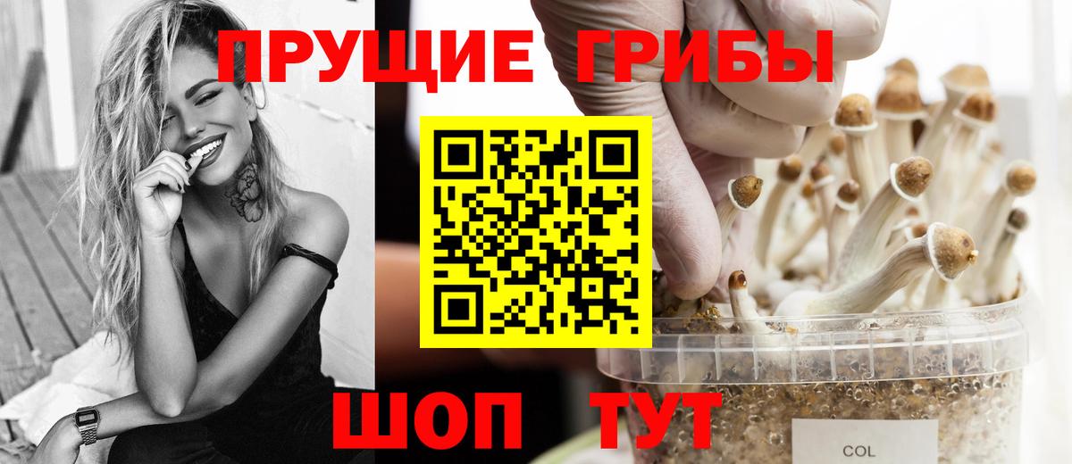 Псилоцибиновые грибы Magic Shrooms Алапаевск